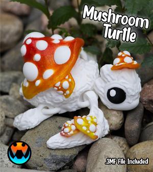 Mushurtle - Mushroom Turtle