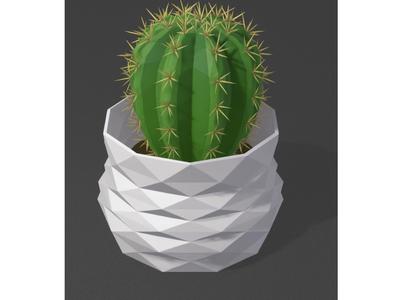pot for plants