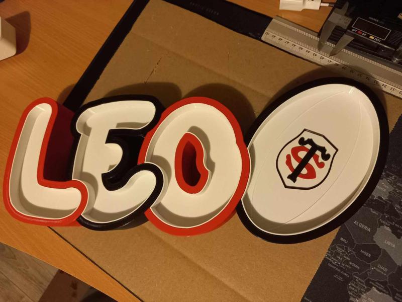 Leo Rugby name lamp
