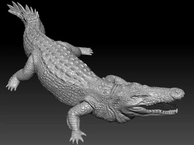 Nile Crocodile for print