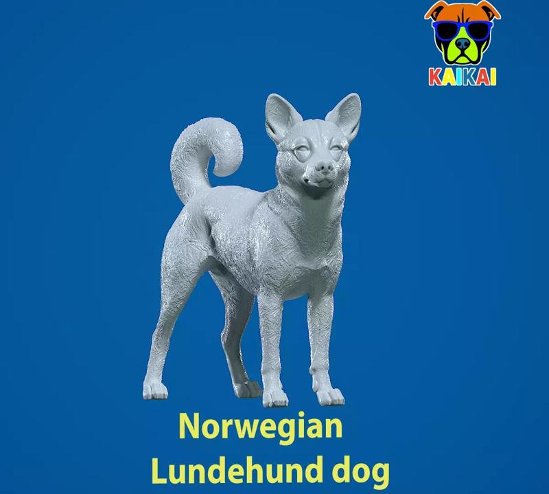 Norwegian Lundehund Dog - Norwegian Puffin Dog - 3D print