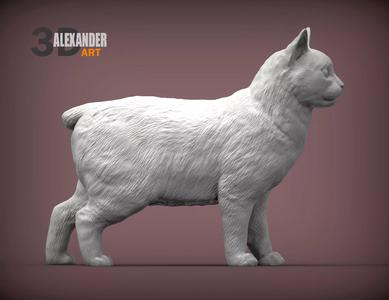 Manx cat