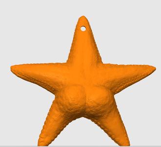 Key ring starfish - conicet