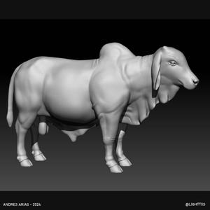 zebu bull - toro high poly