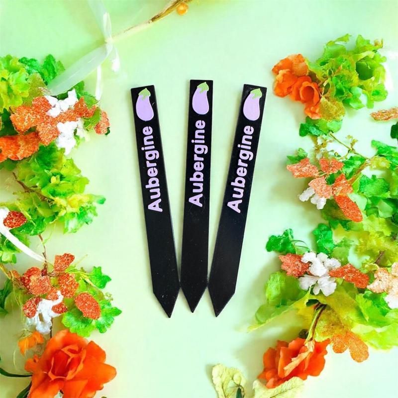 Vegetable signs / garden plug eggplant GGA321