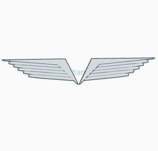 STYLISED WINGS