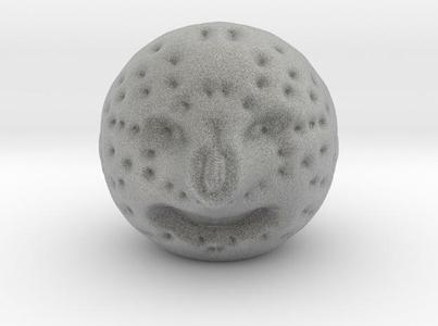 mr moon