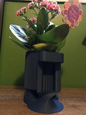 Strangely Elegant Planter