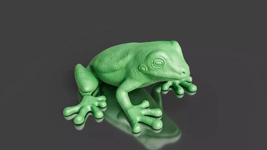 Realistic  Frog amphibians