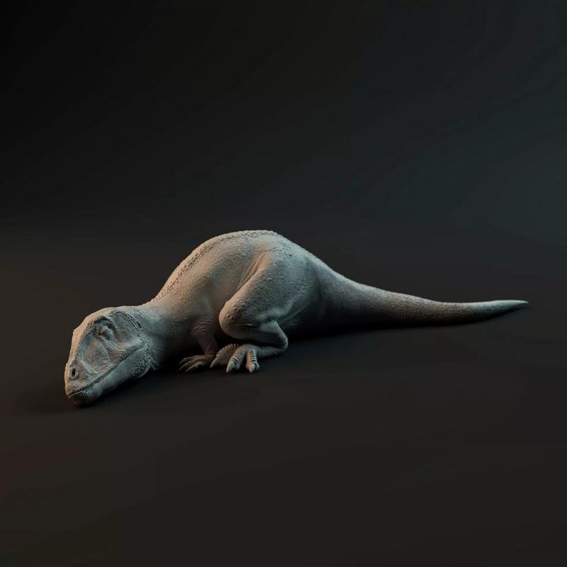 Carcharadontosaurus hatchling sleeping - pre-supported
