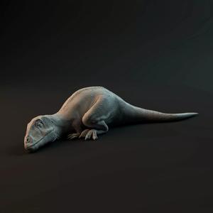 Carcharadontosaurus hatchling sleeping - pre-supported