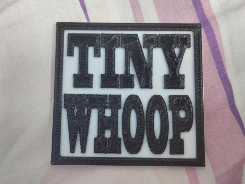 tiny whoop logo hotswap version