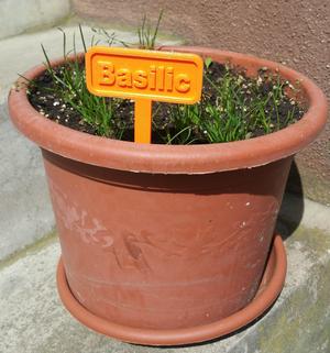 set of 8 herb garden markers in English