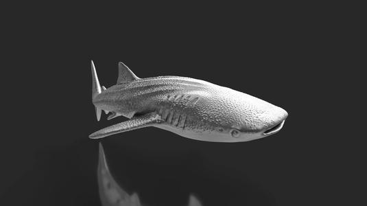 Silver Whale Shark  Miniature