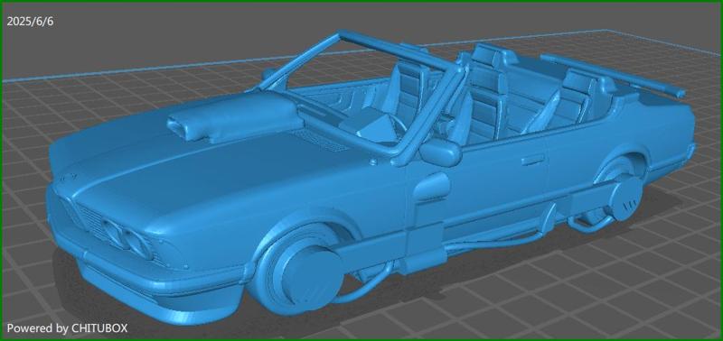 bmw Back to the Future