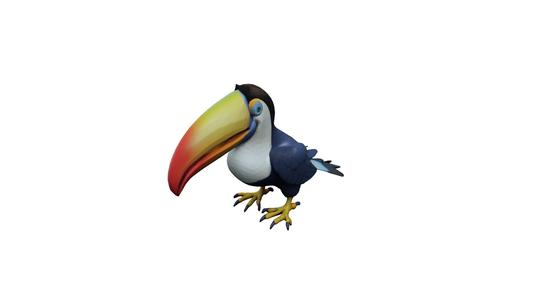 toucan bird
