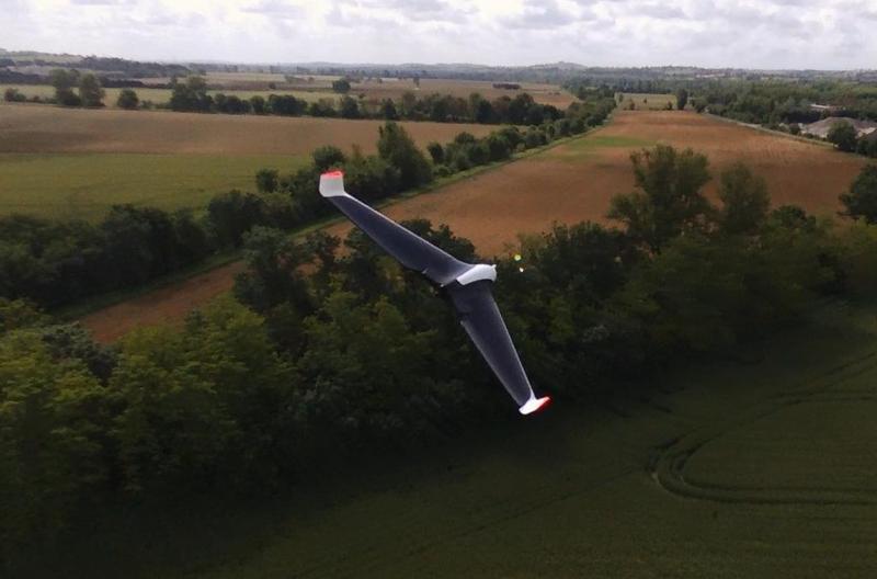 Parrot disco wing tips