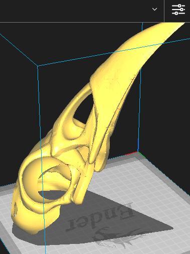 raven skull mask for dogs