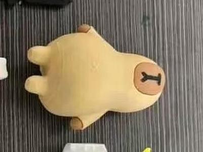 Capybara