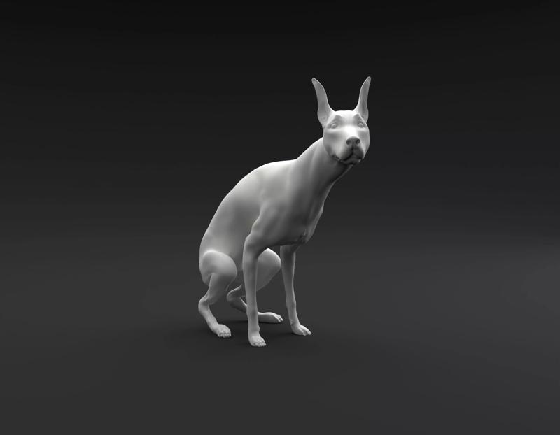 Doberman Pinscher pooping intended for 3D printing