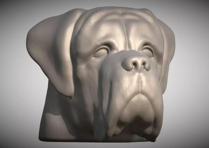 English Mastiff head for 3D printing