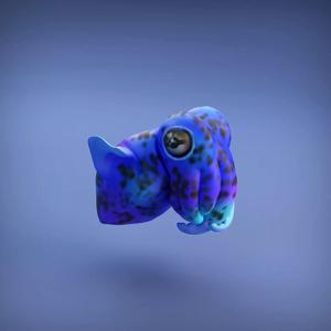 Bobtail Squid for 3D Printing