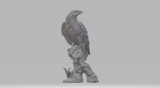 Eagle on branch