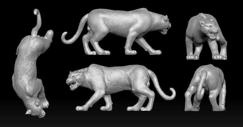 Leopard 3D print model