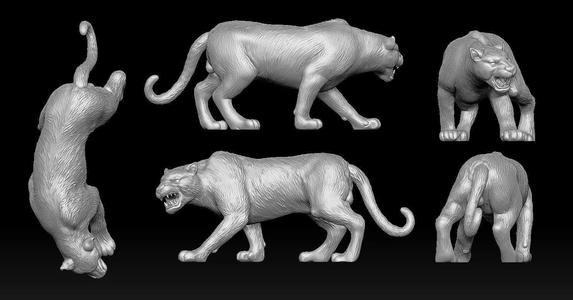 Leopard 3D print model