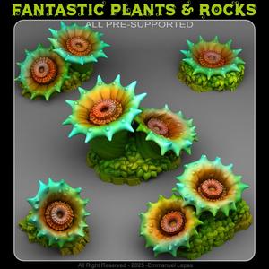 ACID VENUS PLANTS