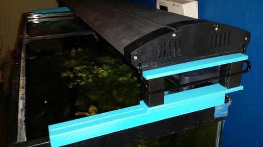 55 Gallon Aquarium adjustable lightstand on a track