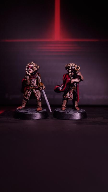 The Thorn - Expansion Pack - Darkest Dungeon Inspired Hero for the Boardgame