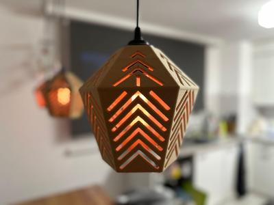 Stylish hanging lamp / floor lamp