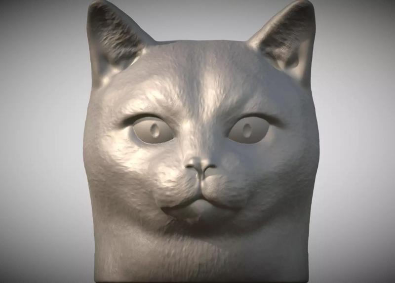 Domestic shorthair cat for 3D printing