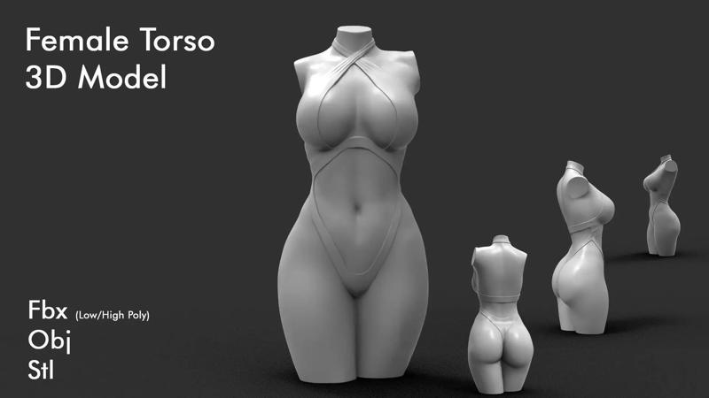 Female Torso 6