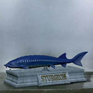 fish sturgeon statue detailed texture