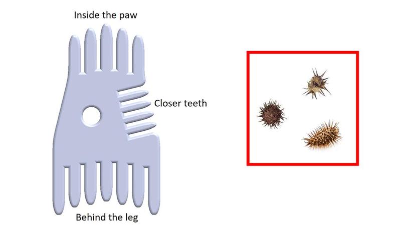 Small comb for burrs / thorns in dog fur