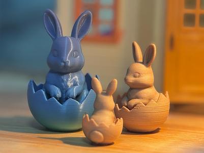 Rabbit in the Egg – Real Face