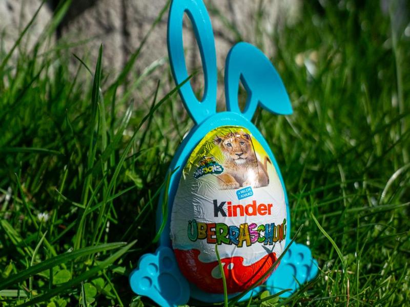 Surprise Easter Bunny