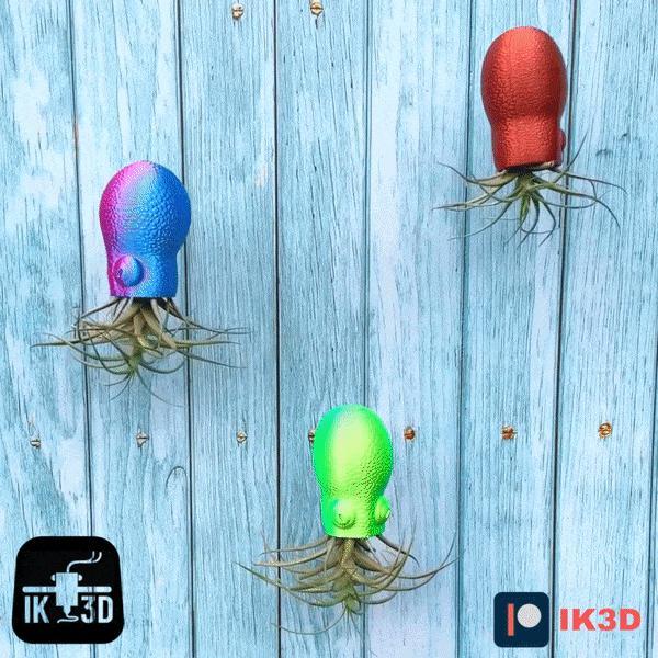 HANGING OCTOPUS AIR PLANT HOLDER