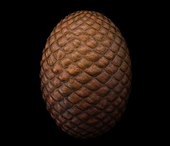 Egg of the dragon (house of the dragon)