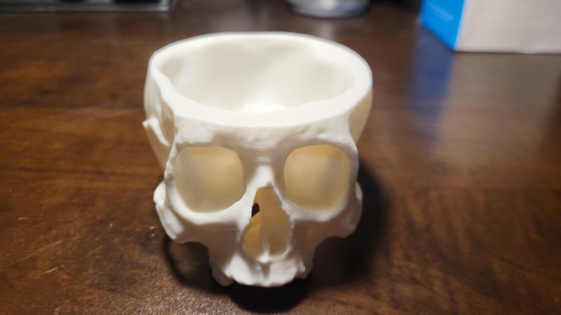 hominin skull (filament waste) bowl