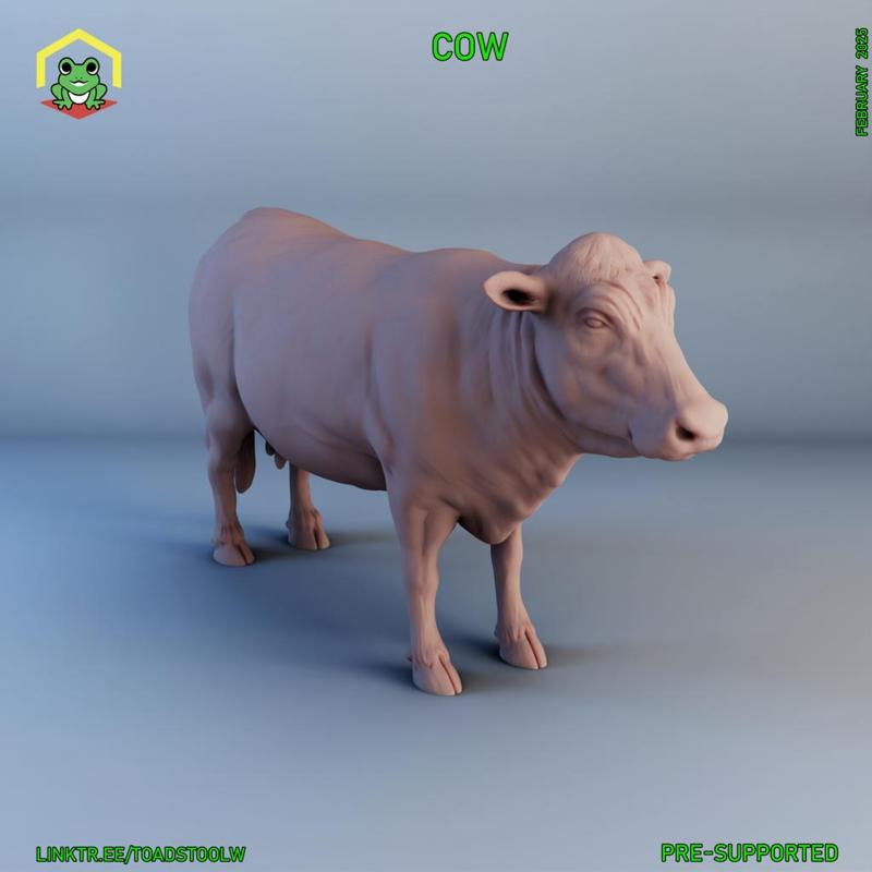 Cow