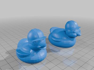 construction ducks
