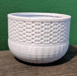 The Succulent Plant Pot