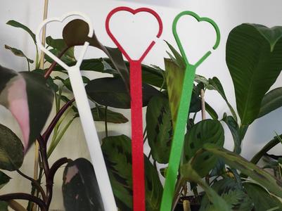 plant holder
