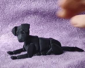 Articulated Puppy
