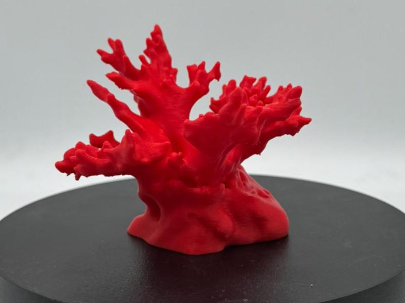 Fish Tank Series - Coral Reef Accessory