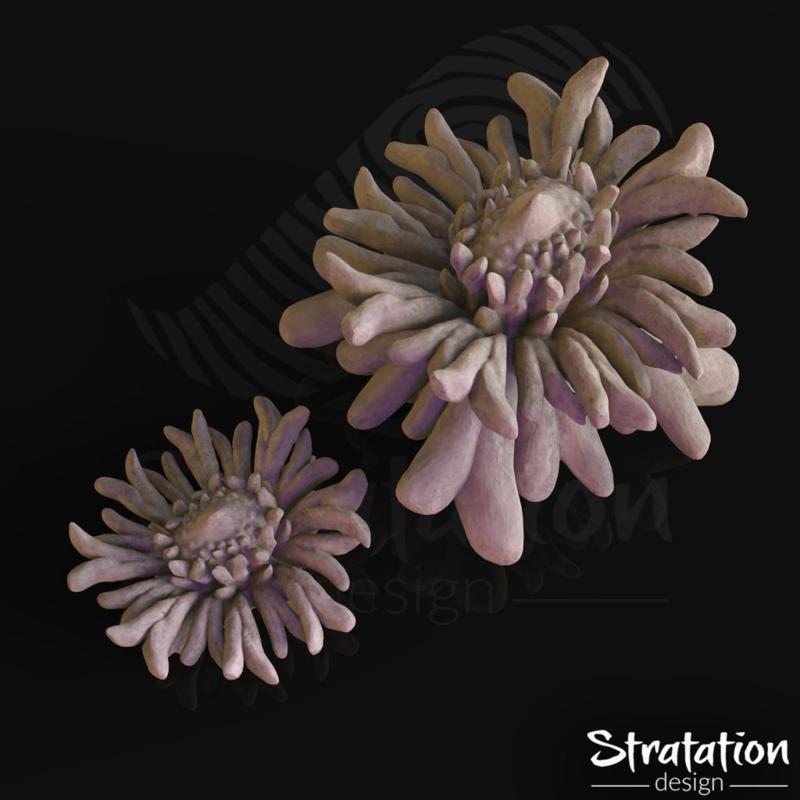 Abyssal Water Lily Duo