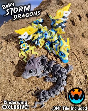 Baby Storm Dragon